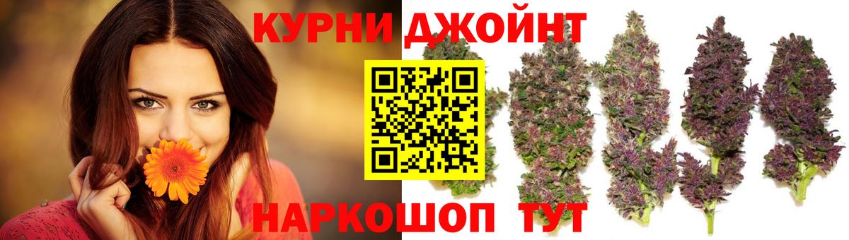 Бошки Шишки план Белорецк